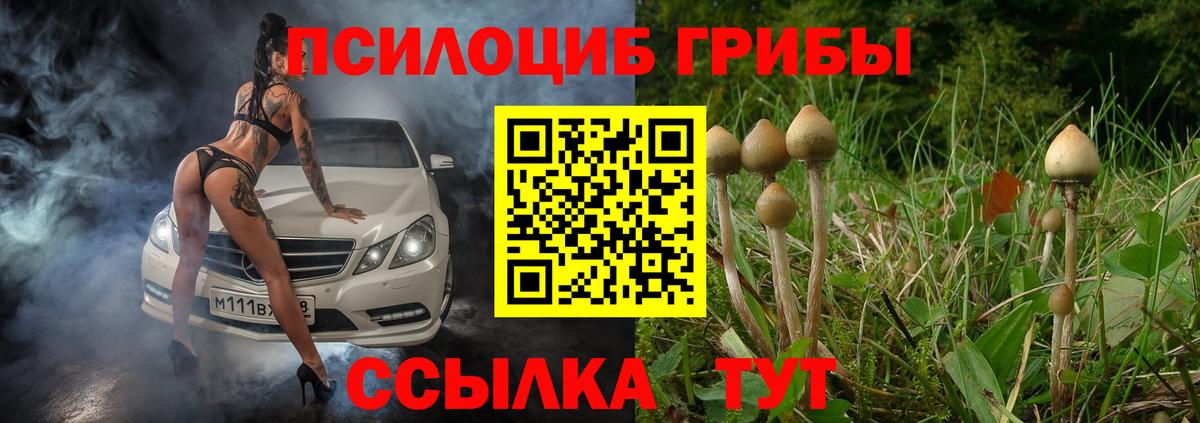 Коряжма  Галлюциногенные грибы GOLDEN TEACHER  Псилоцибиновые грибы ЛСД  Вход с VPN 